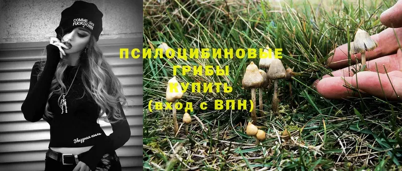 Псилоцибиновые грибы MAGIC MUSHROOMS  Курган 